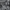 میلدا گولبه